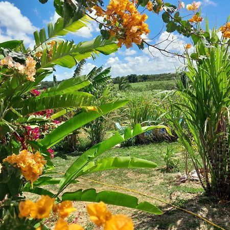 Location Vacances Guadeloupe Gite Et Table D'Hotes Kaz A Klemence Anse-Bertrand Esterno foto