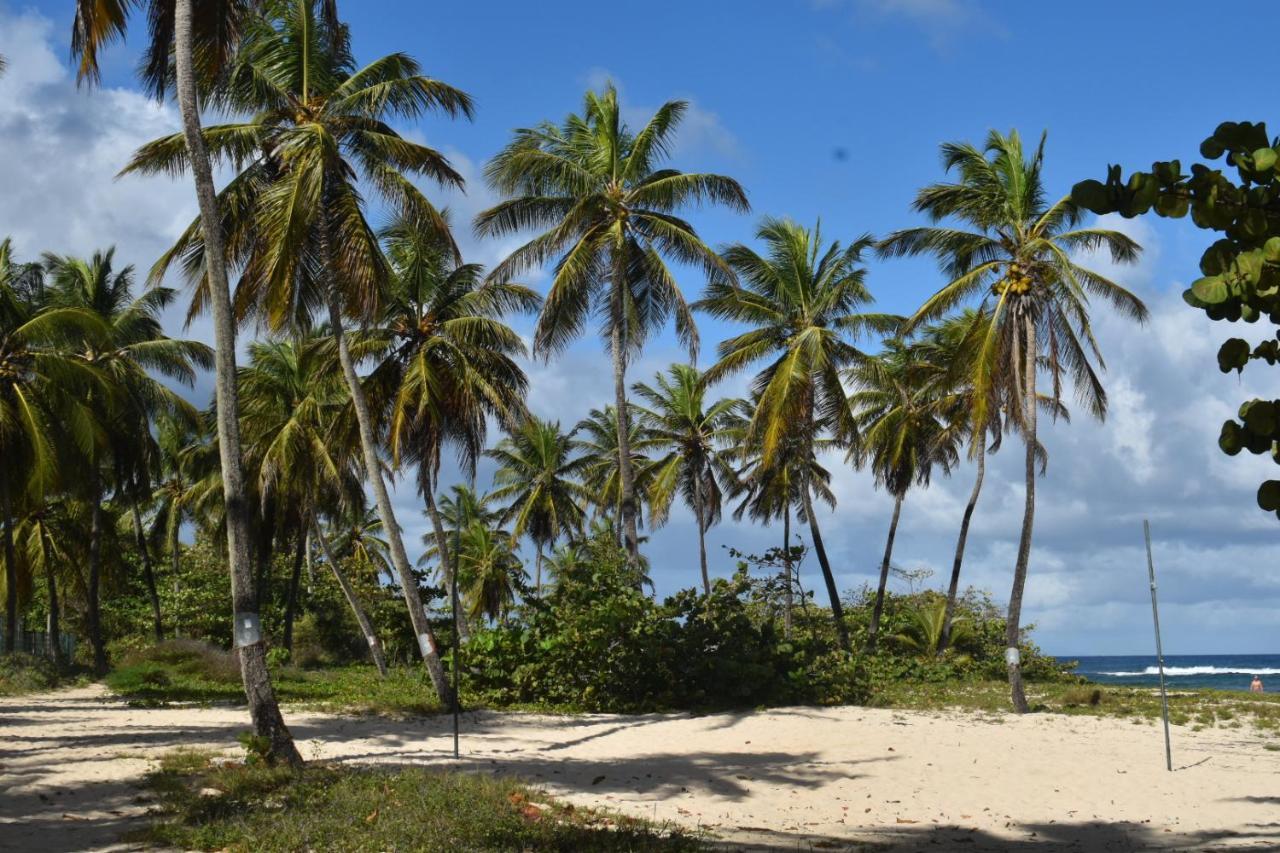 Location Vacances Guadeloupe Gite Et Table D'Hotes Kaz A Klemence Anse-Bertrand Esterno foto