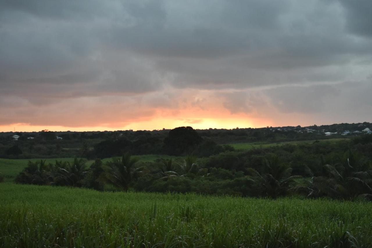 Location Vacances Guadeloupe Gite Et Table D'Hotes Kaz A Klemence Anse-Bertrand Esterno foto