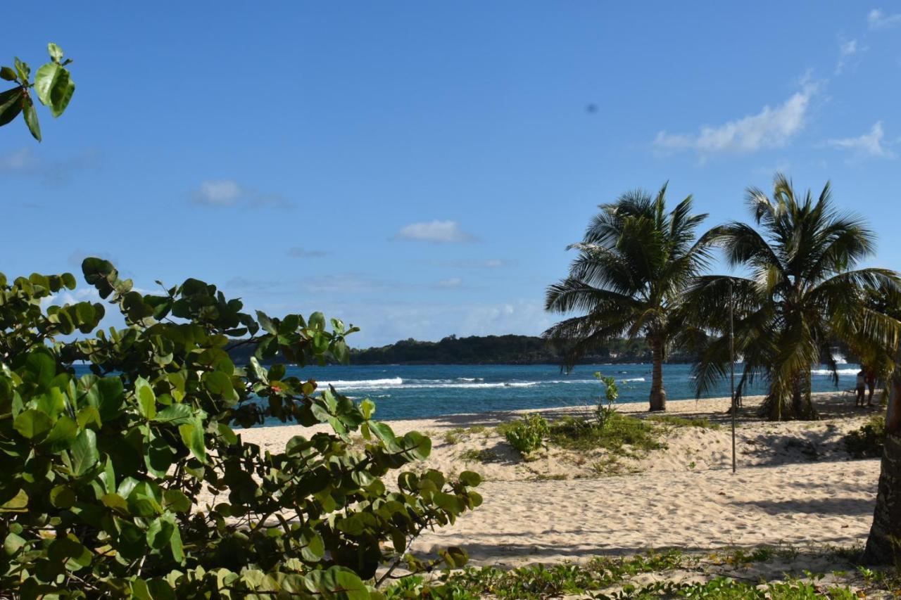 Location Vacances Guadeloupe Gite Et Table D'Hotes Kaz A Klemence Anse-Bertrand Esterno foto