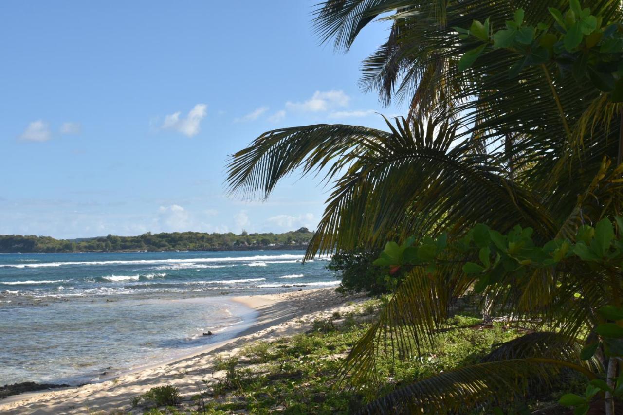 Location Vacances Guadeloupe Gite Et Table D'Hotes Kaz A Klemence Anse-Bertrand Esterno foto