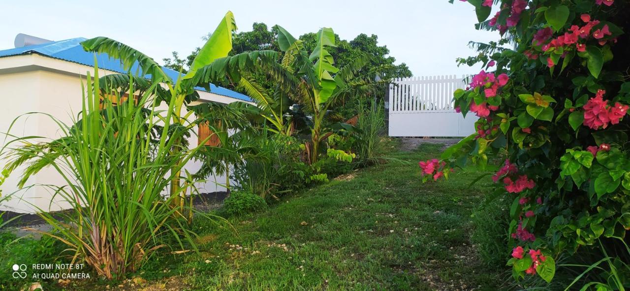 Location Vacances Guadeloupe Gite Et Table D'Hotes Kaz A Klemence Anse-Bertrand Esterno foto