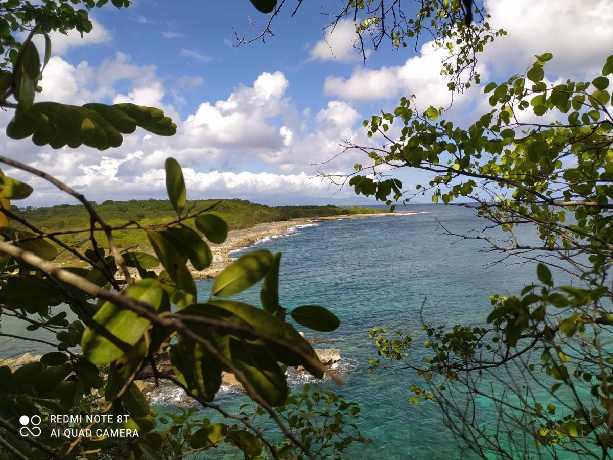 Location Vacances Guadeloupe Gite Et Table D'Hotes Kaz A Klemence Anse-Bertrand Esterno foto