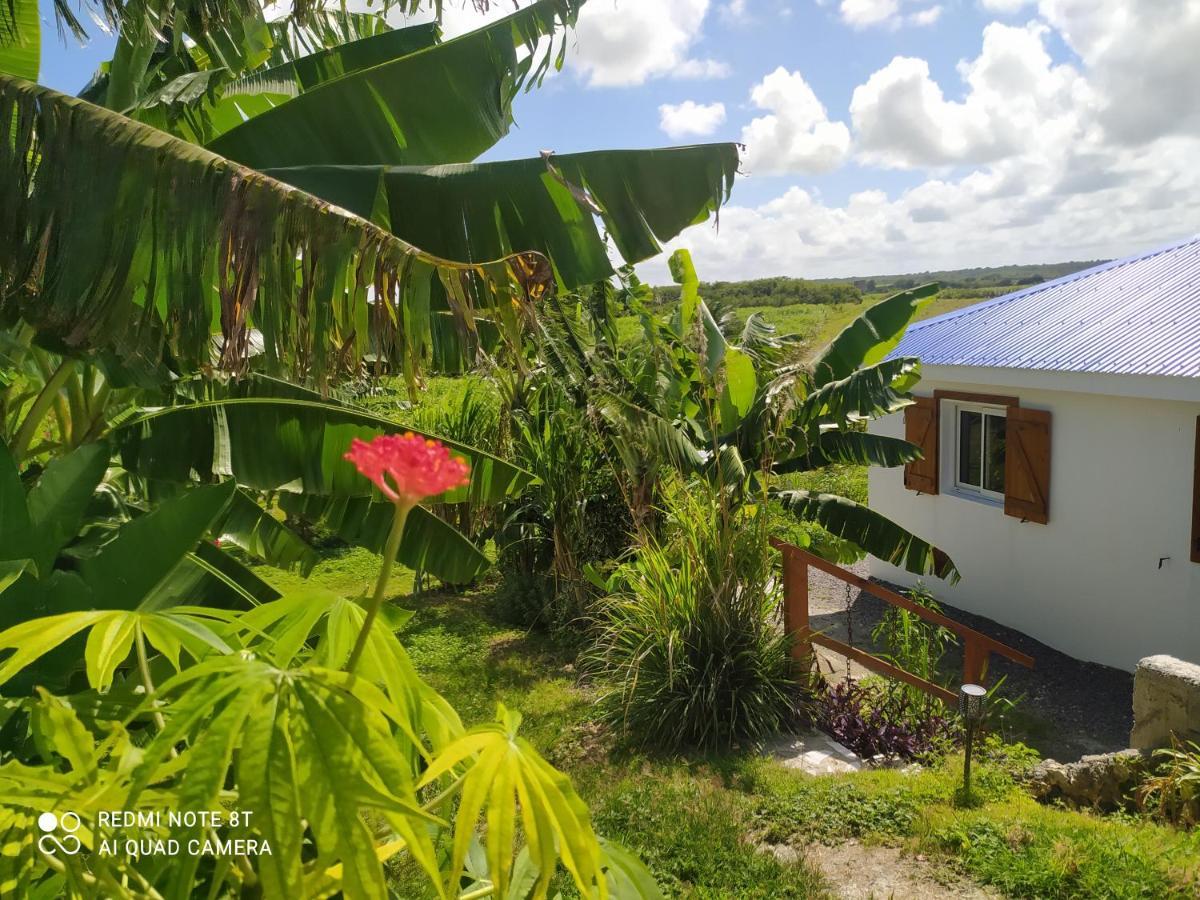 Location Vacances Guadeloupe Gite Et Table D'Hotes Kaz A Klemence Anse-Bertrand Esterno foto