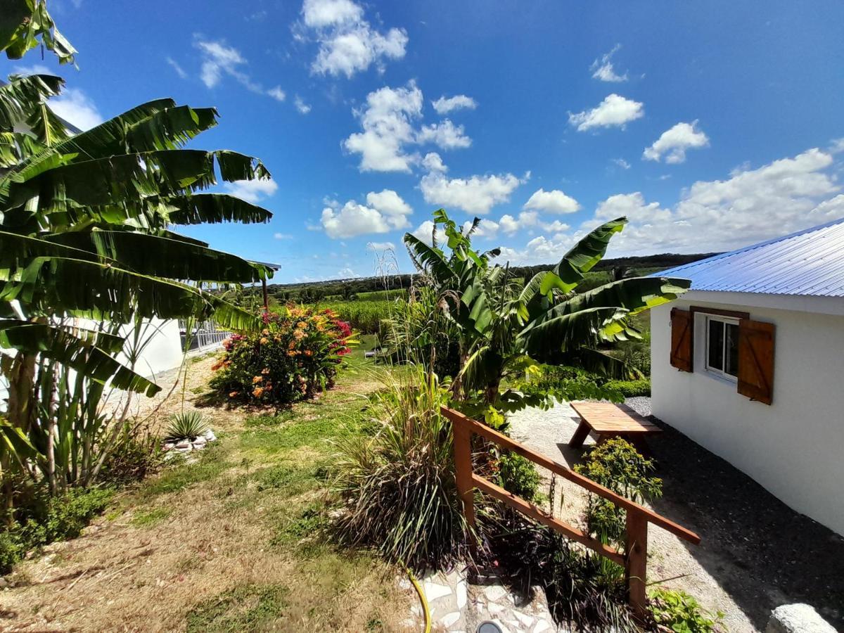 Location Vacances Guadeloupe Gite Et Table D'Hotes Kaz A Klemence Anse-Bertrand Esterno foto