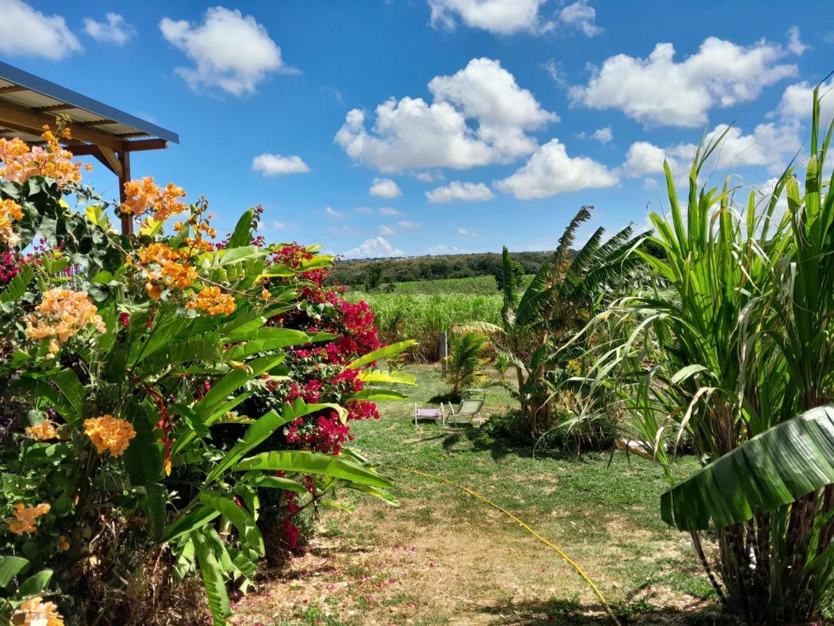 Location Vacances Guadeloupe Gite Et Table D'Hotes Kaz A Klemence Anse-Bertrand Esterno foto