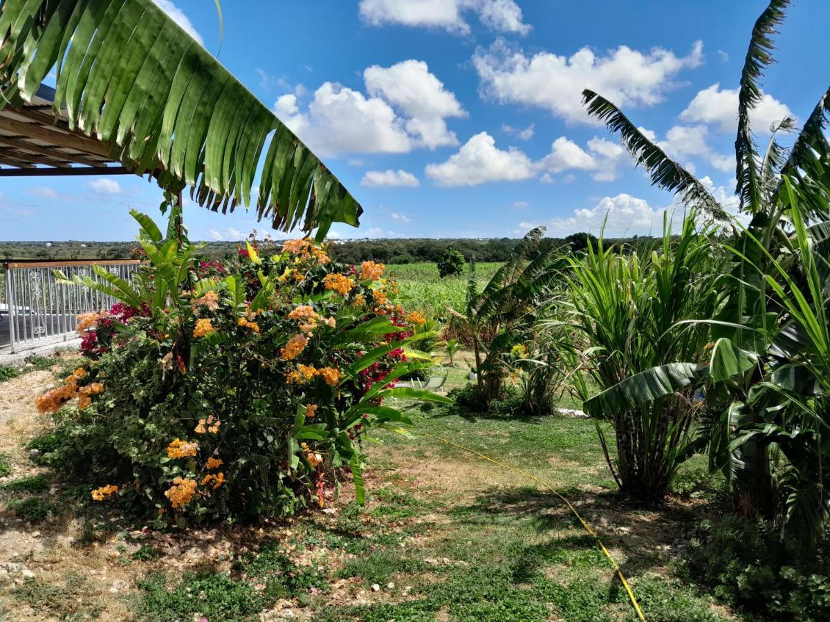 Location Vacances Guadeloupe Gite Et Table D'Hotes Kaz A Klemence Anse-Bertrand Esterno foto