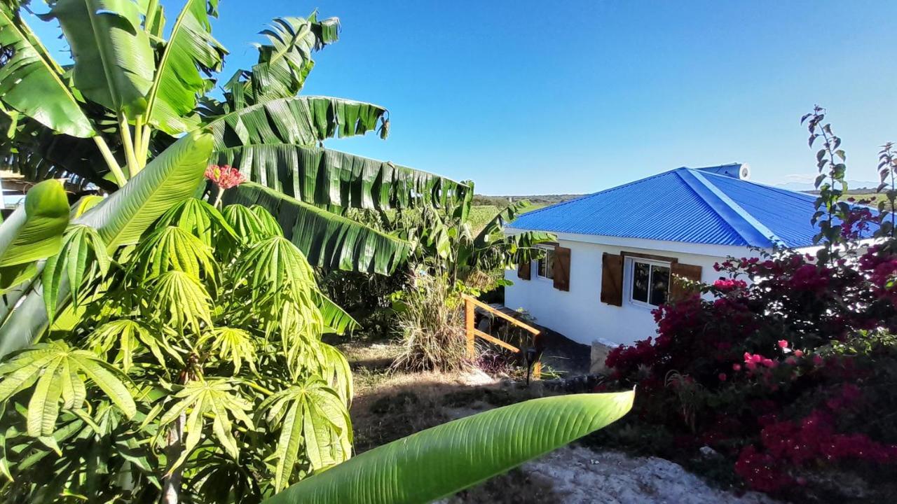 Location Vacances Guadeloupe Gite Et Table D'Hotes Kaz A Klemence Anse-Bertrand Esterno foto